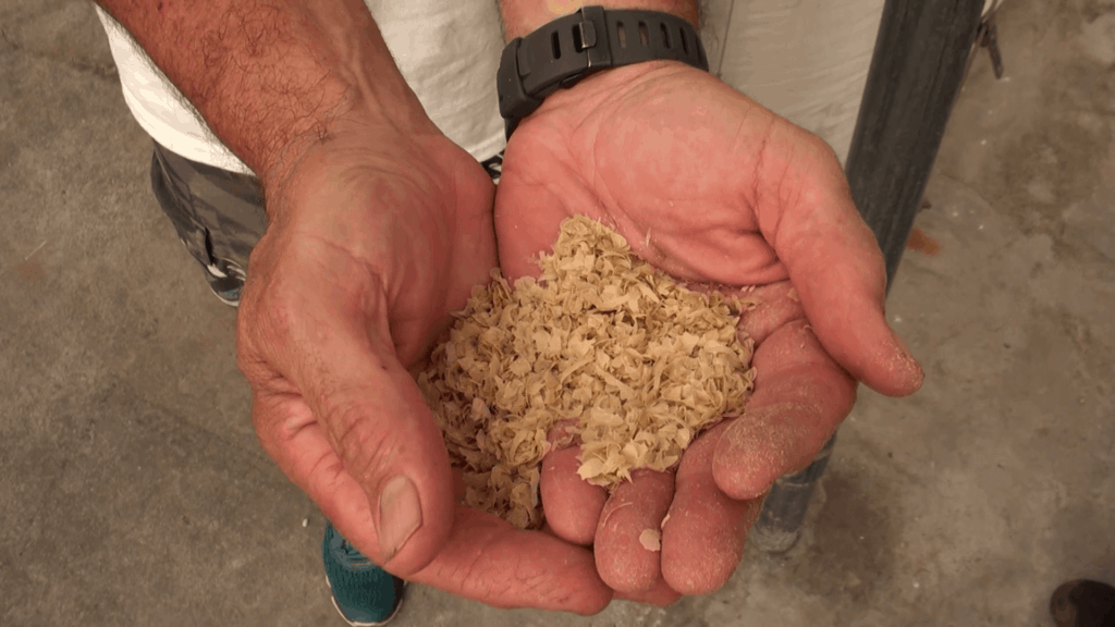 Coffee parchment