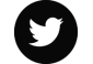 Twitter Icon